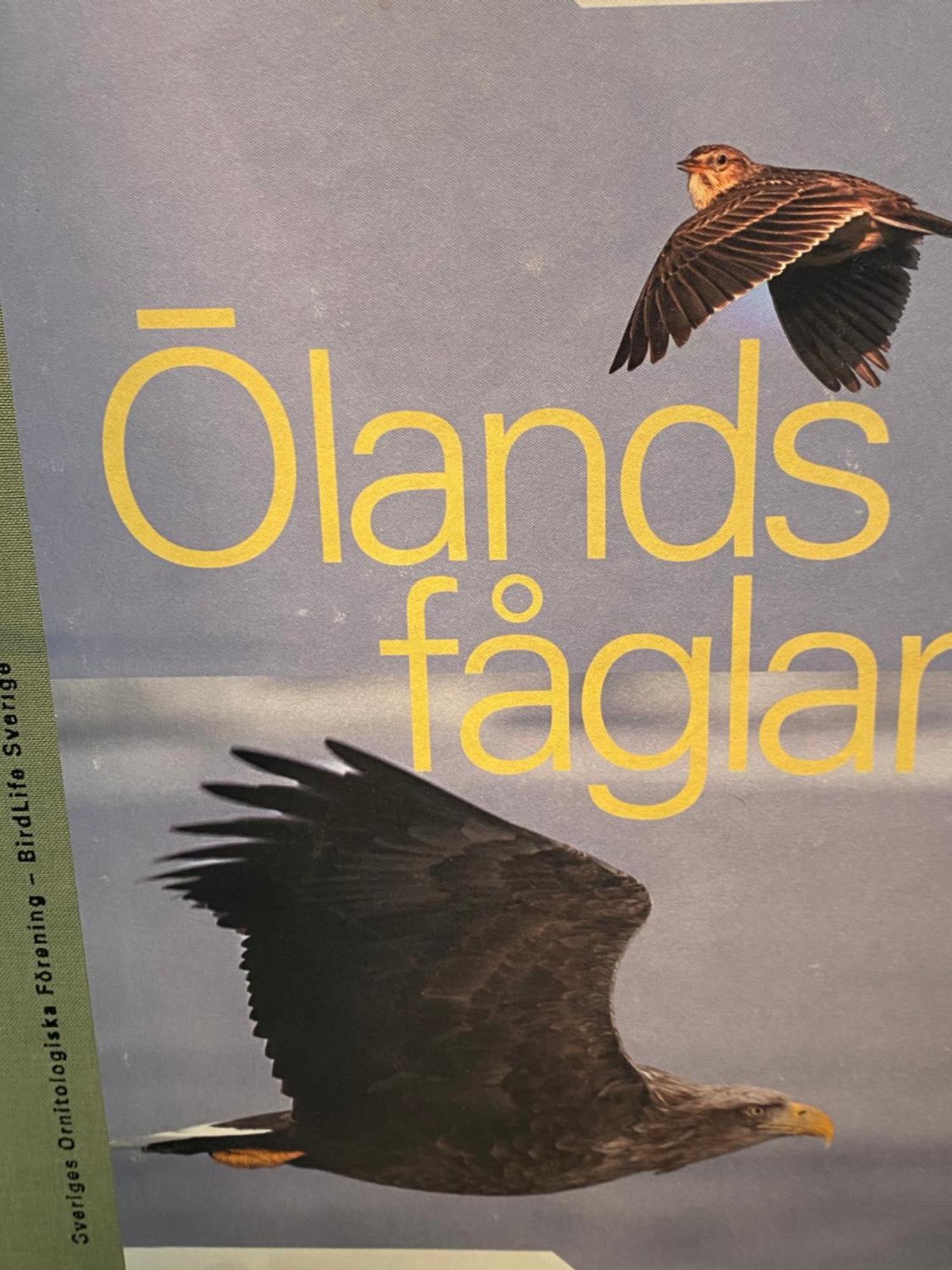 Ferienwohnung Idyliska Boende Mitt Pa Oeland Färjestaden Exterior foto